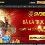 SV368 lừa đảo